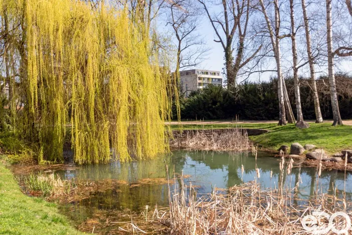 Prodej bytu 2+kk, Chrudim, V Hliníkách, 50 m2