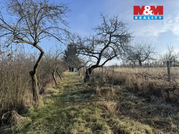 Prodej chaty, Hrušovany u Brna, 21 m2