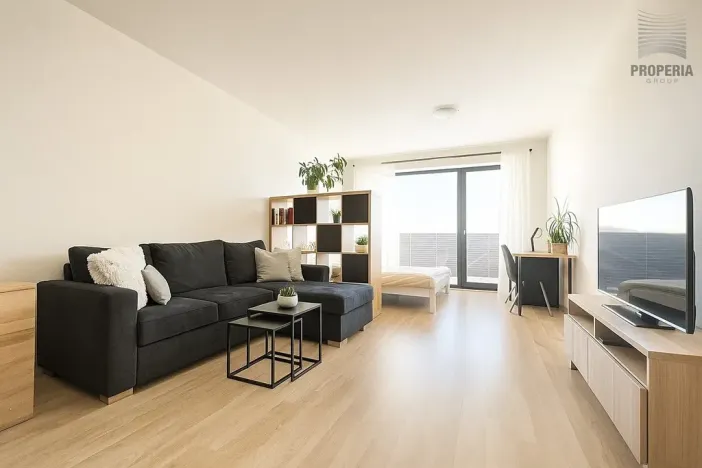 Prodej bytu 1+kk, Brno, Řípská, 45 m2