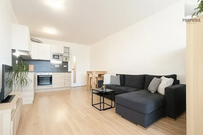 Prodej bytu 1+kk, Brno, Řípská, 45 m2