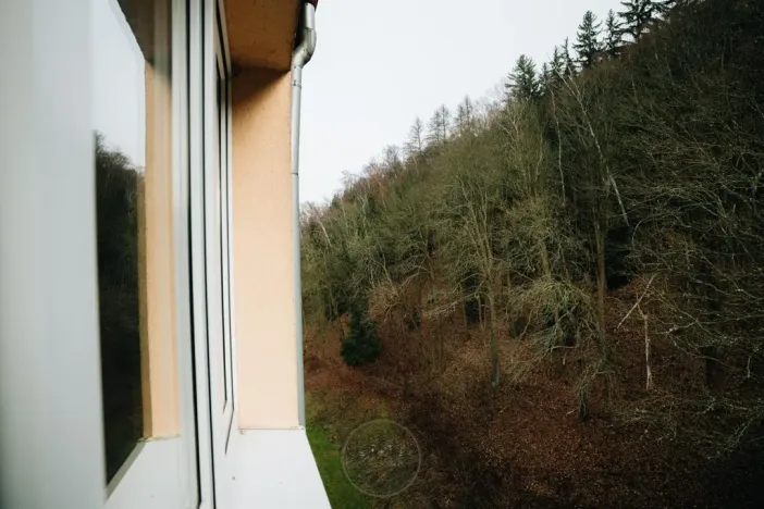 Prodej bytu 3+1, Kraslice, Čs. armády, 67 m2