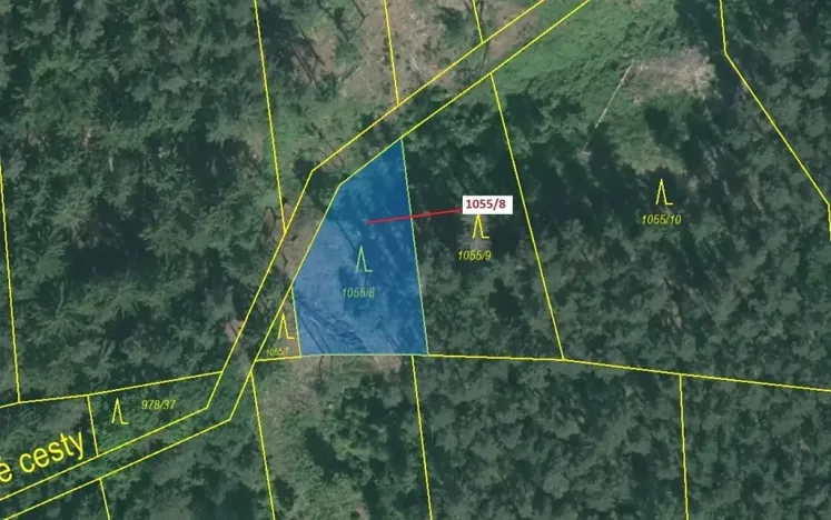 Dražba lesa, Milavče, 546 m2