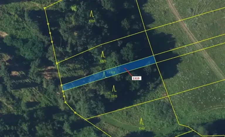 Dražba lesa, Spešov, 316 m2