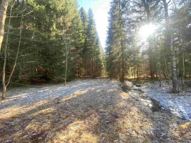 Dražba pozemku, Čachrov, 10377 m2