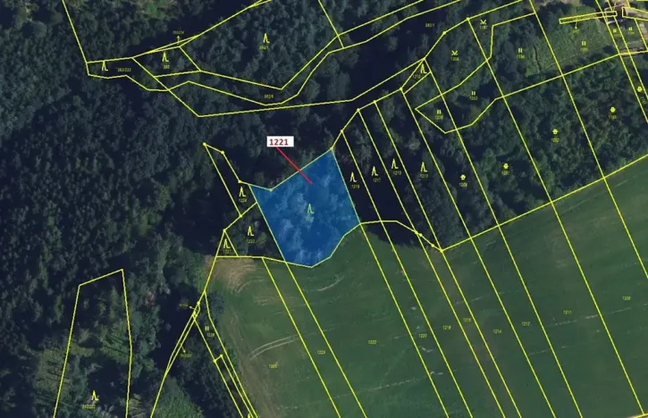 Dražba lesa, Spešov, 1590 m2