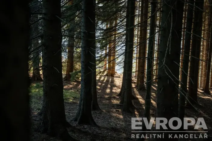 Prodej chalupy, Harrachov - Ryžoviště, 279 m2