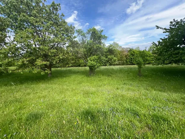 Prodej pozemku, Hřibojedy, 2371 m2