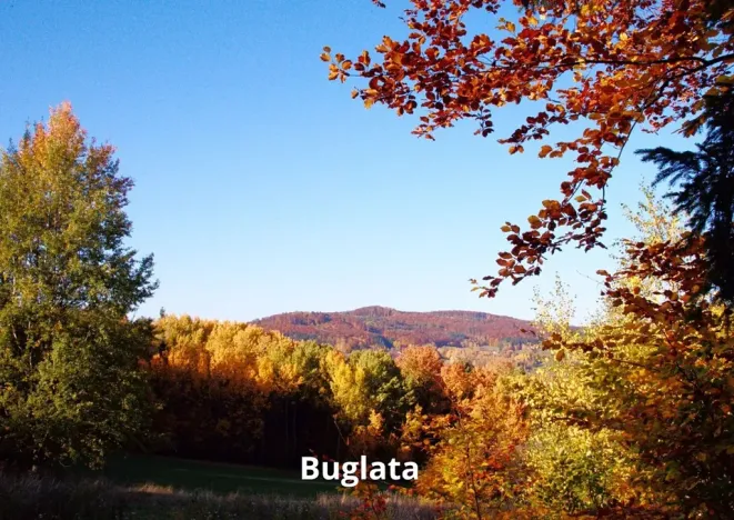 Prodej rodinného domu, České Budějovice, 114 m2