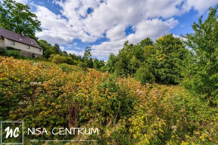 Prodej louky, Bedřichov, 5250 m2