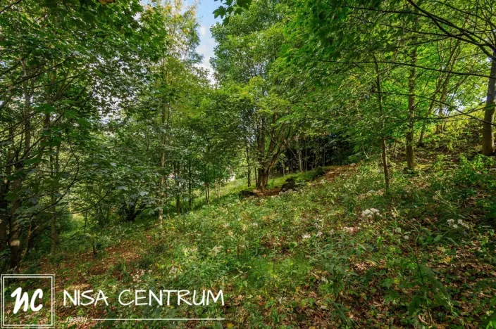 Prodej louky, Bedřichov, 5250 m2