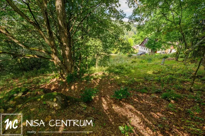 Prodej louky, Bedřichov, 5250 m2