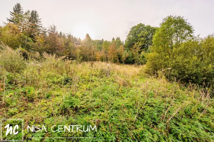 Prodej louky, Bedřichov, 3741 m2