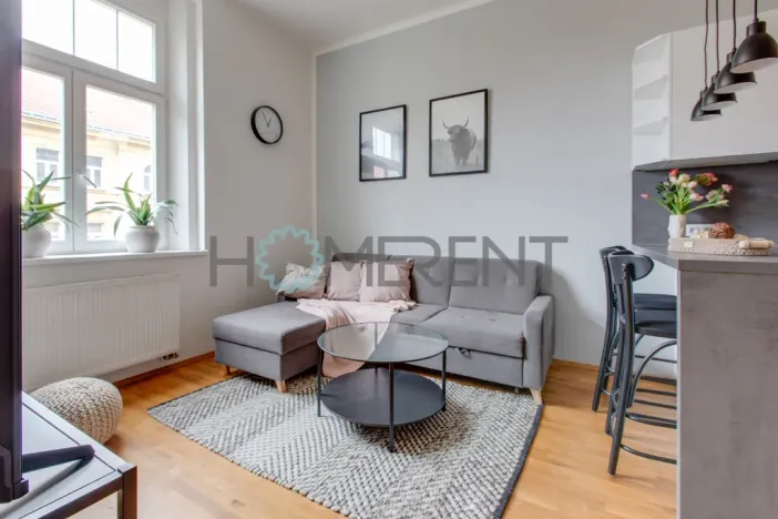 Prodej bytu 2+kk, Praha - Žižkov, Jagellonská, 45 m2