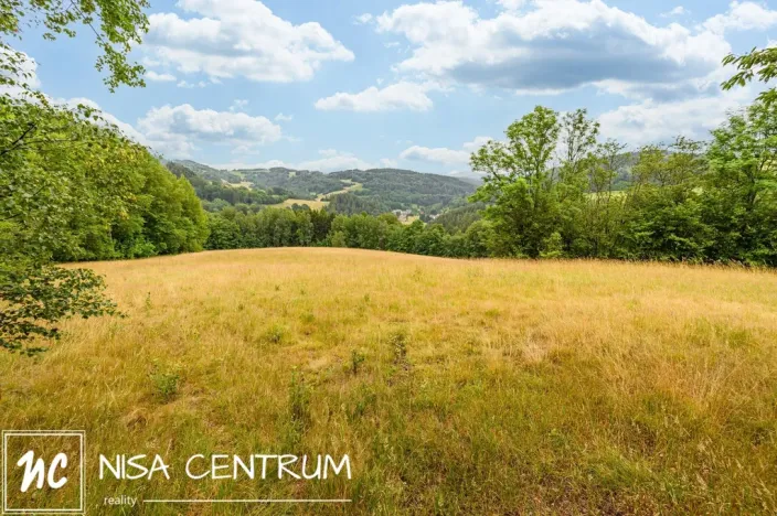 Prodej louky, Víchová nad Jizerou, 23358 m2