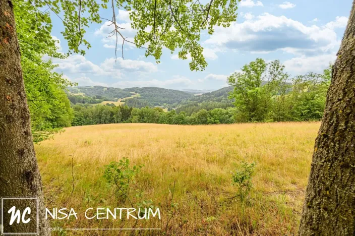 Prodej louky, Víchová nad Jizerou, 23358 m2