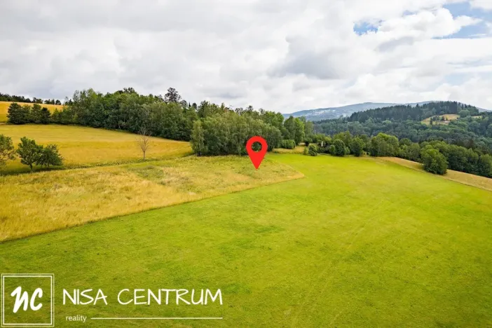 Prodej louky, Víchová nad Jizerou, 991 m2