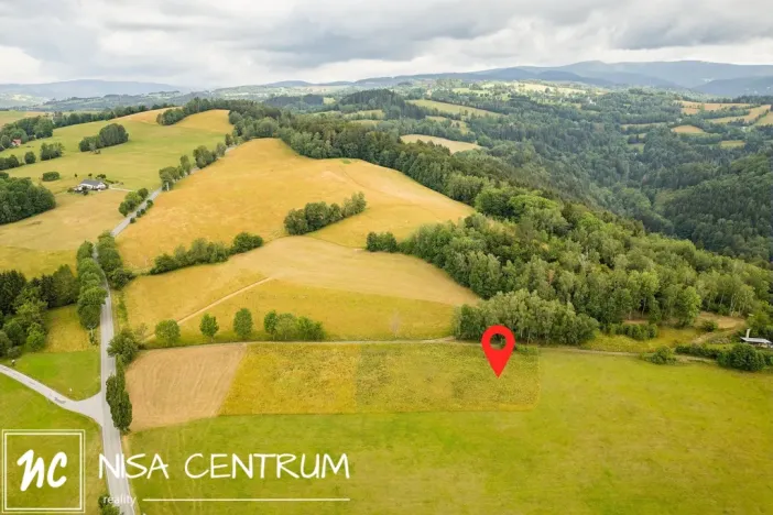 Prodej louky, Víchová nad Jizerou, 991 m2