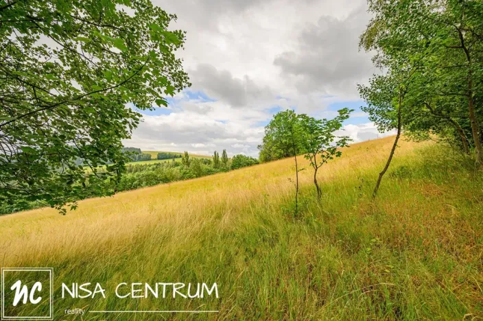 Prodej louky, Víchová nad Jizerou, 991 m2