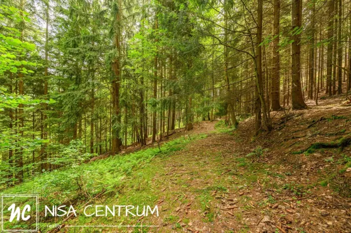 Prodej louky, Víchová nad Jizerou, 1867 m2