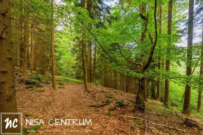 Prodej louky, Víchová nad Jizerou, 1867 m2