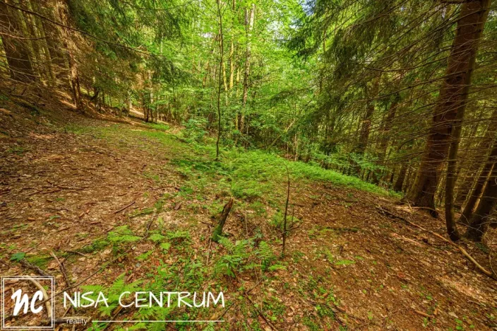 Prodej louky, Víchová nad Jizerou, 1867 m2