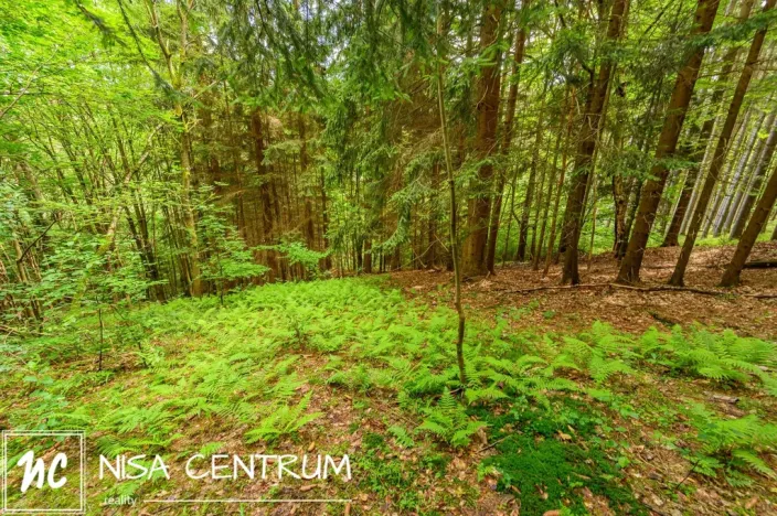 Prodej louky, Víchová nad Jizerou, 1867 m2