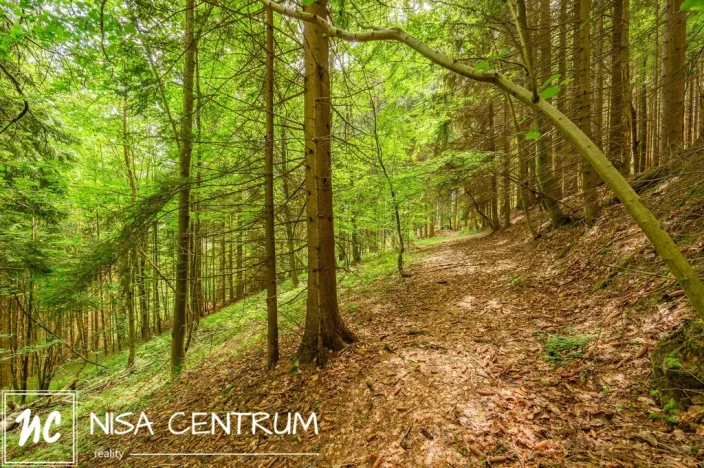 Prodej louky, Víchová nad Jizerou, 1867 m2