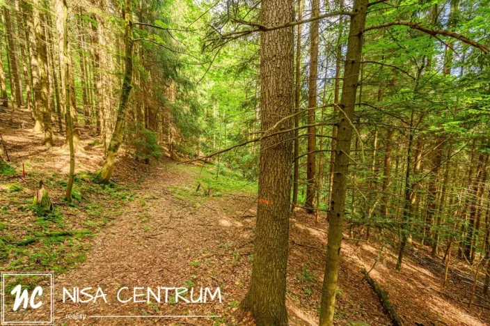 Prodej louky, Víchová nad Jizerou, 1867 m2