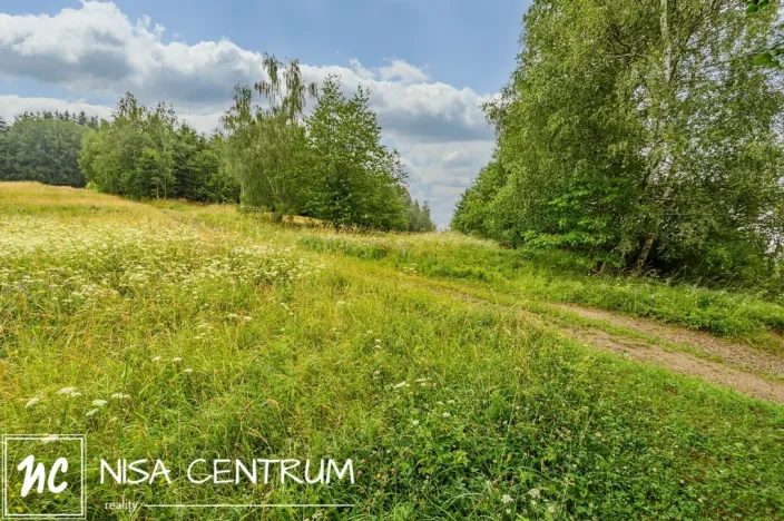 Prodej louky, Víchová nad Jizerou, 1739 m2