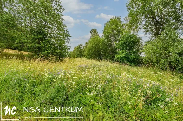 Prodej louky, Víchová nad Jizerou, 1739 m2