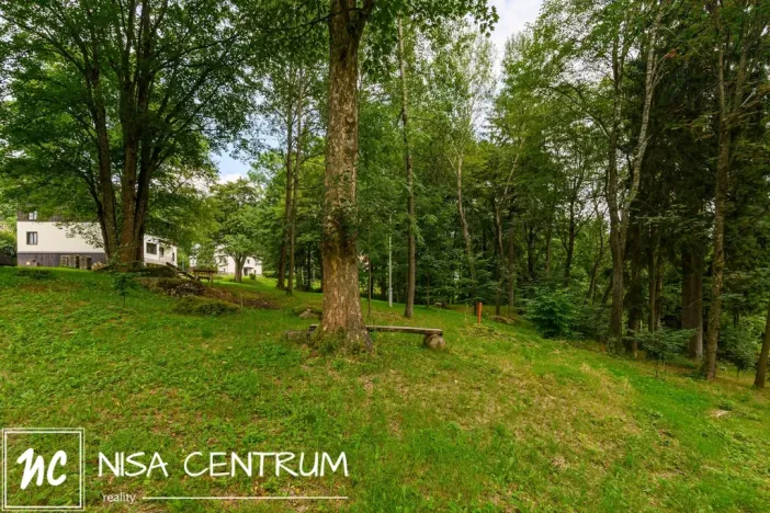 Prodej komerčního pozemku, Janov nad Nisou, 1809 m2