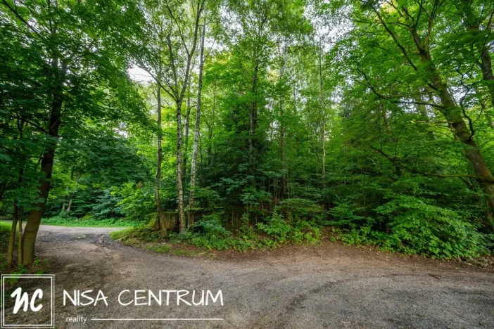 Prodej lesa, Nová Ves nad Nisou, 5031 m2