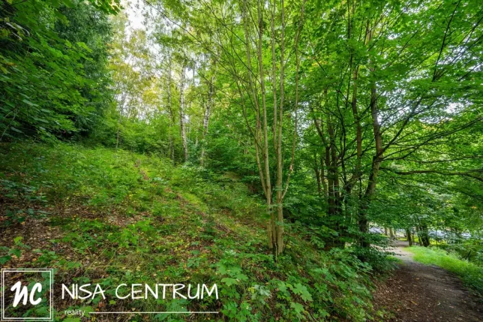 Prodej lesa, Nová Ves nad Nisou, 5031 m2