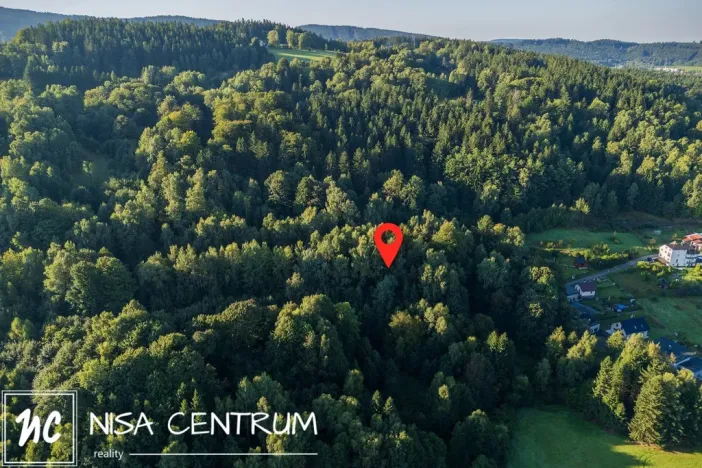 Prodej lesa, Nová Ves nad Nisou, 5031 m2