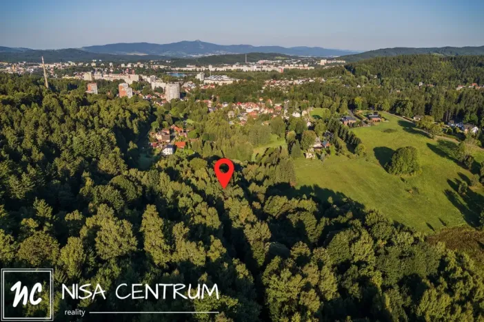 Prodej lesa, Nová Ves nad Nisou, 5031 m2