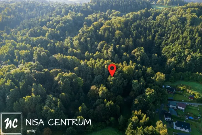 Prodej lesa, Nová Ves nad Nisou, 5031 m2