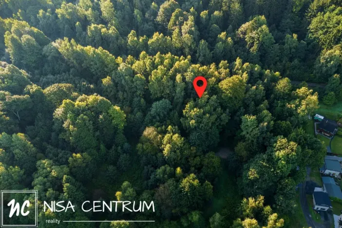 Prodej lesa, Nová Ves nad Nisou, 5031 m2