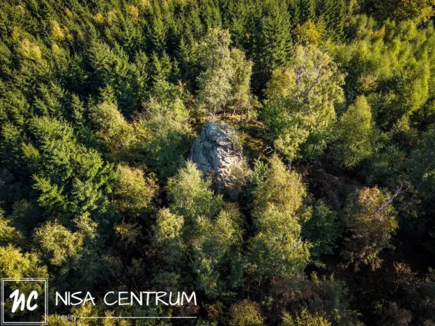 Prodej lesa, Šimonovice, 30343 m2