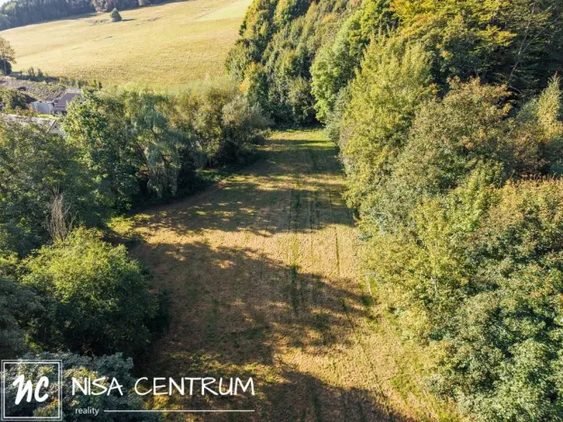 Prodej lesa, Šimonovice, 30343 m2