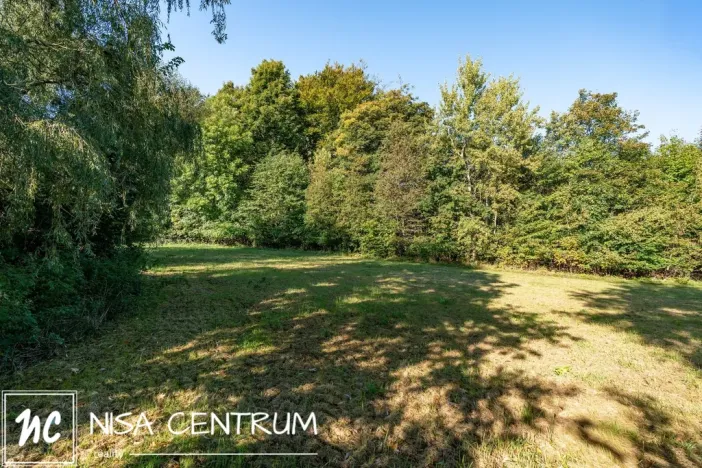 Prodej lesa, Šimonovice, 30343 m2