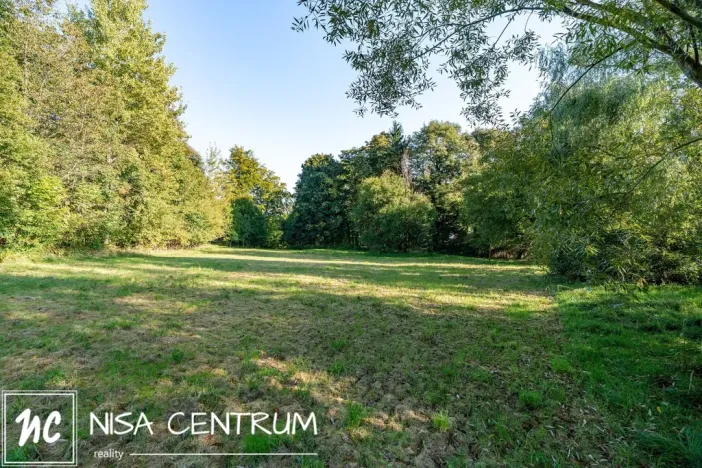 Prodej lesa, Šimonovice, 30343 m2