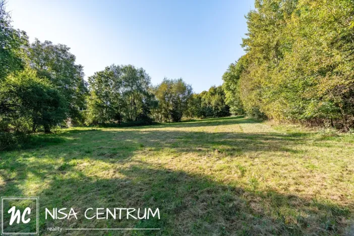 Prodej lesa, Šimonovice, 30343 m2