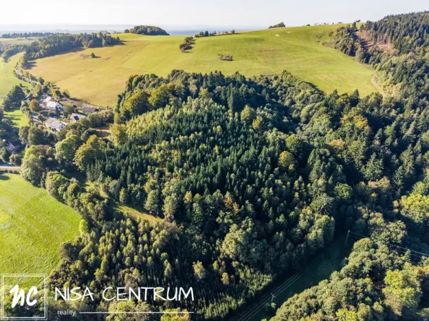 Prodej lesa, Šimonovice, 30343 m2