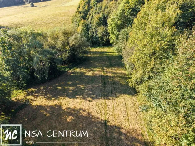 Prodej lesa, Šimonovice, 30343 m2