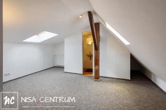 Prodej atypického bytu, Praha - Vinohrady, Vozová, 260 m2