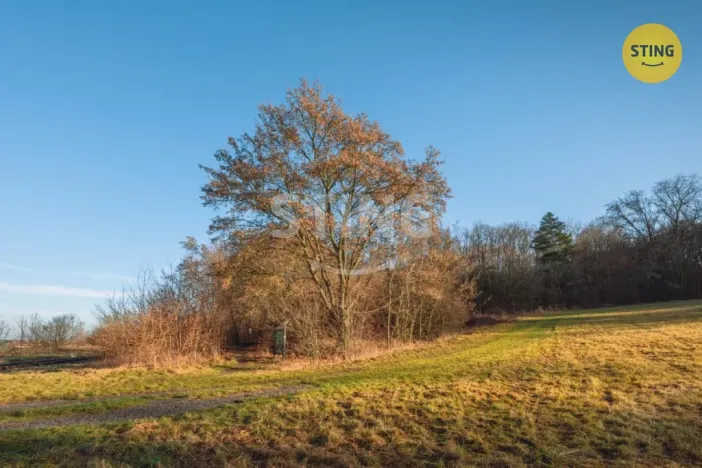 Prodej pozemku pro bydlení, Chrudim - Topol, 2696 m2