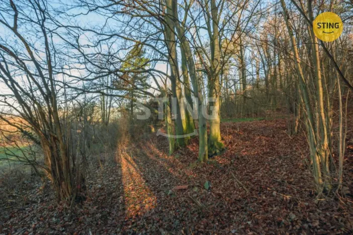 Prodej pozemku pro bydlení, Chrudim - Topol, 2696 m2