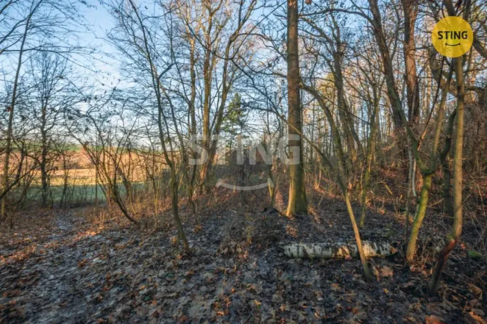 Prodej pozemku pro bydlení, Chrudim - Topol, 2696 m2