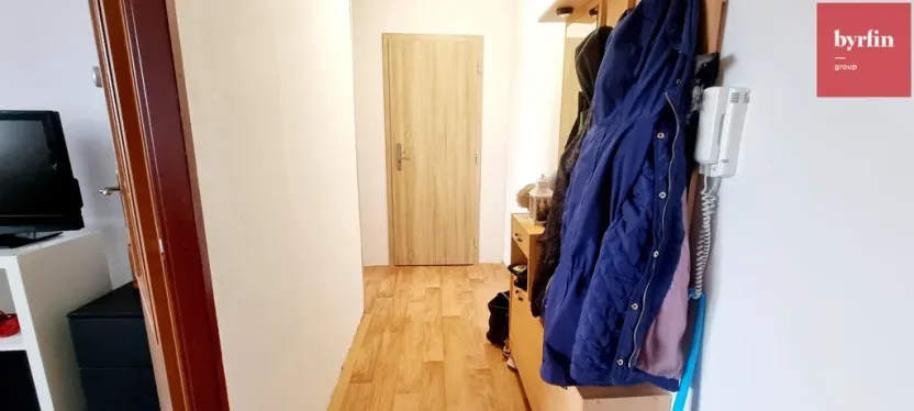 Pronájem bytu 1+1, Opava, 17. listopadu, 38 m2