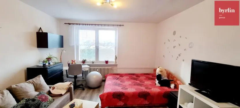 Pronájem bytu 1+1, Opava, 17. listopadu, 38 m2